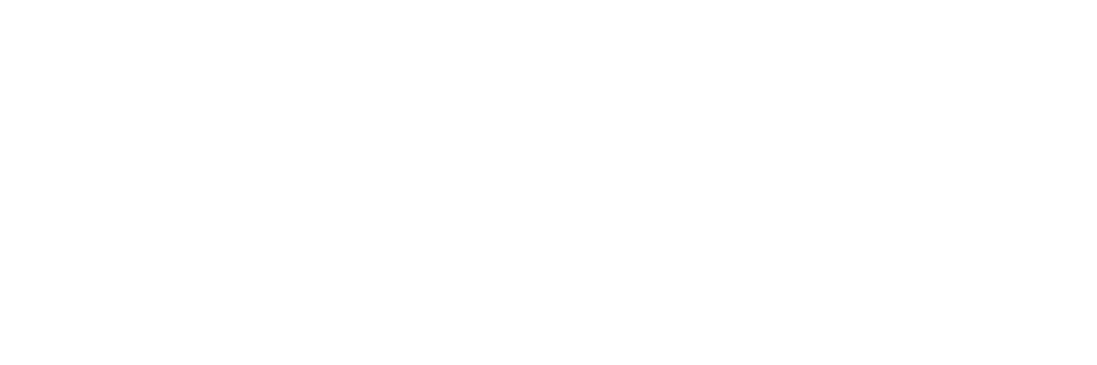 transfers_miami_white_logo_transparent